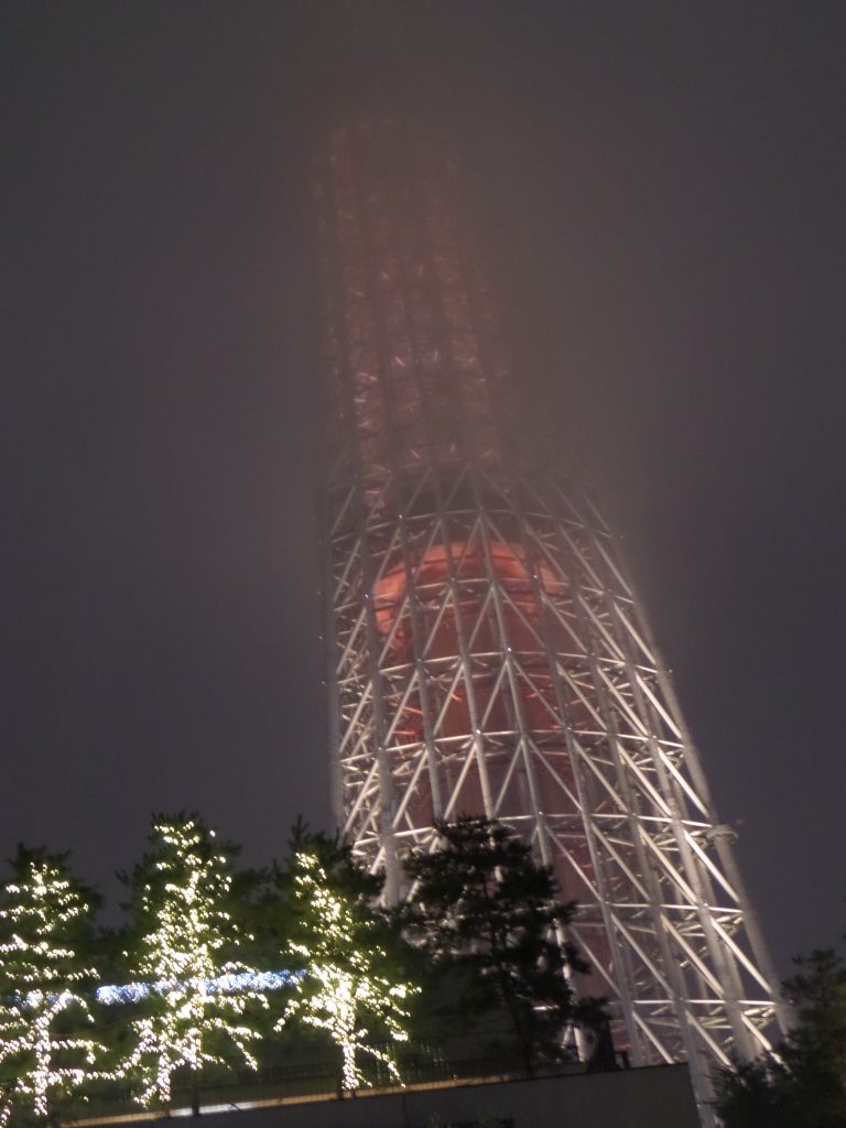 日本六天五夜 : 淺草、秋葉原、大江戶溫泉物語 7 SAM 1433