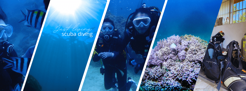 來搭客運高雄到墾丁 2 Ginger Sunny Just Living Photo Collage Facebook Cover 1