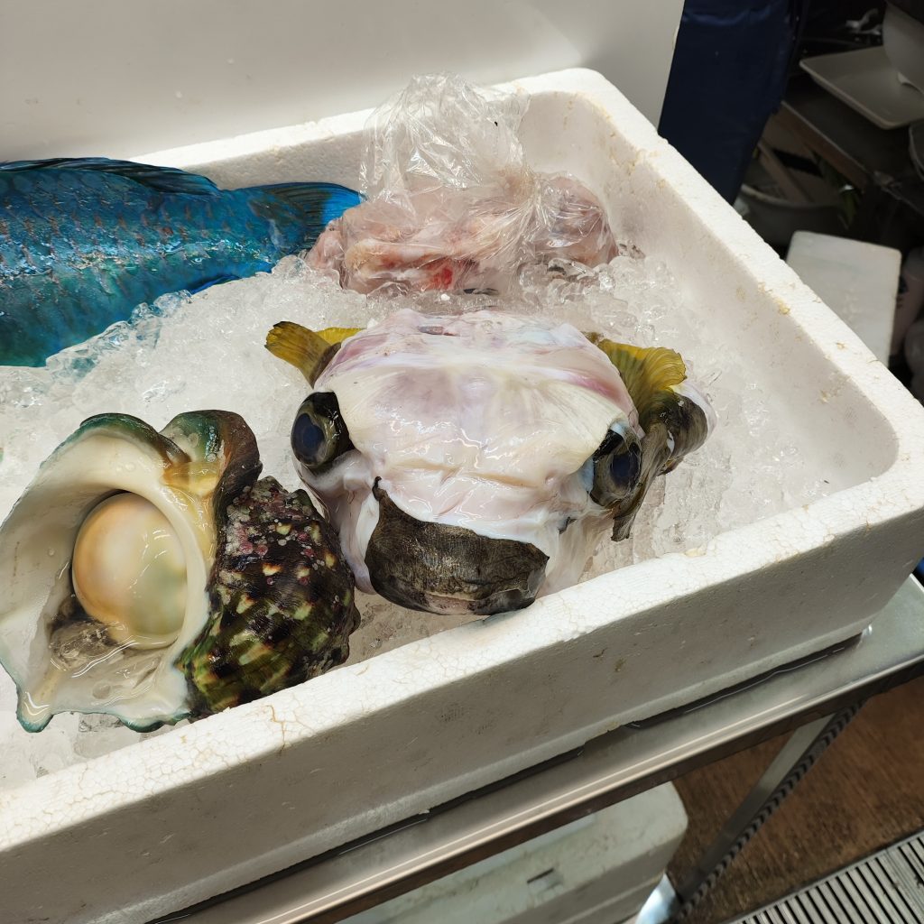 帶著 1 歲半兒子遊日本沖繩/3 : 國際通 8 IMG 20240410 155123 1