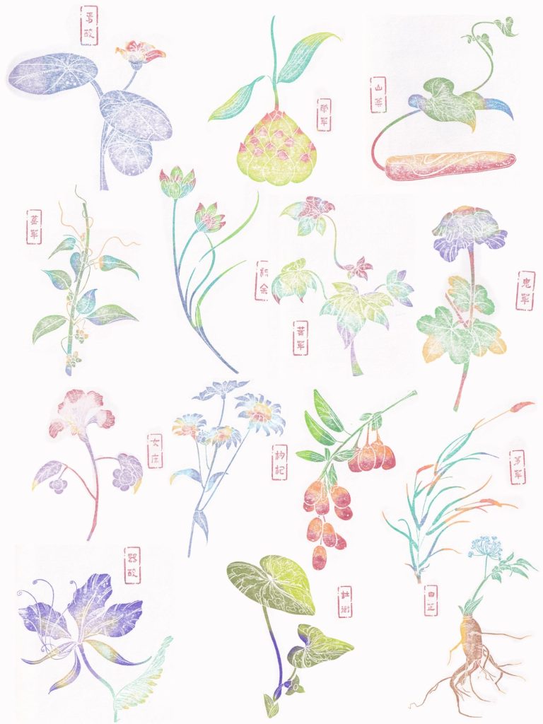 了不起的東方神話 - 山海百靈 11 草藥